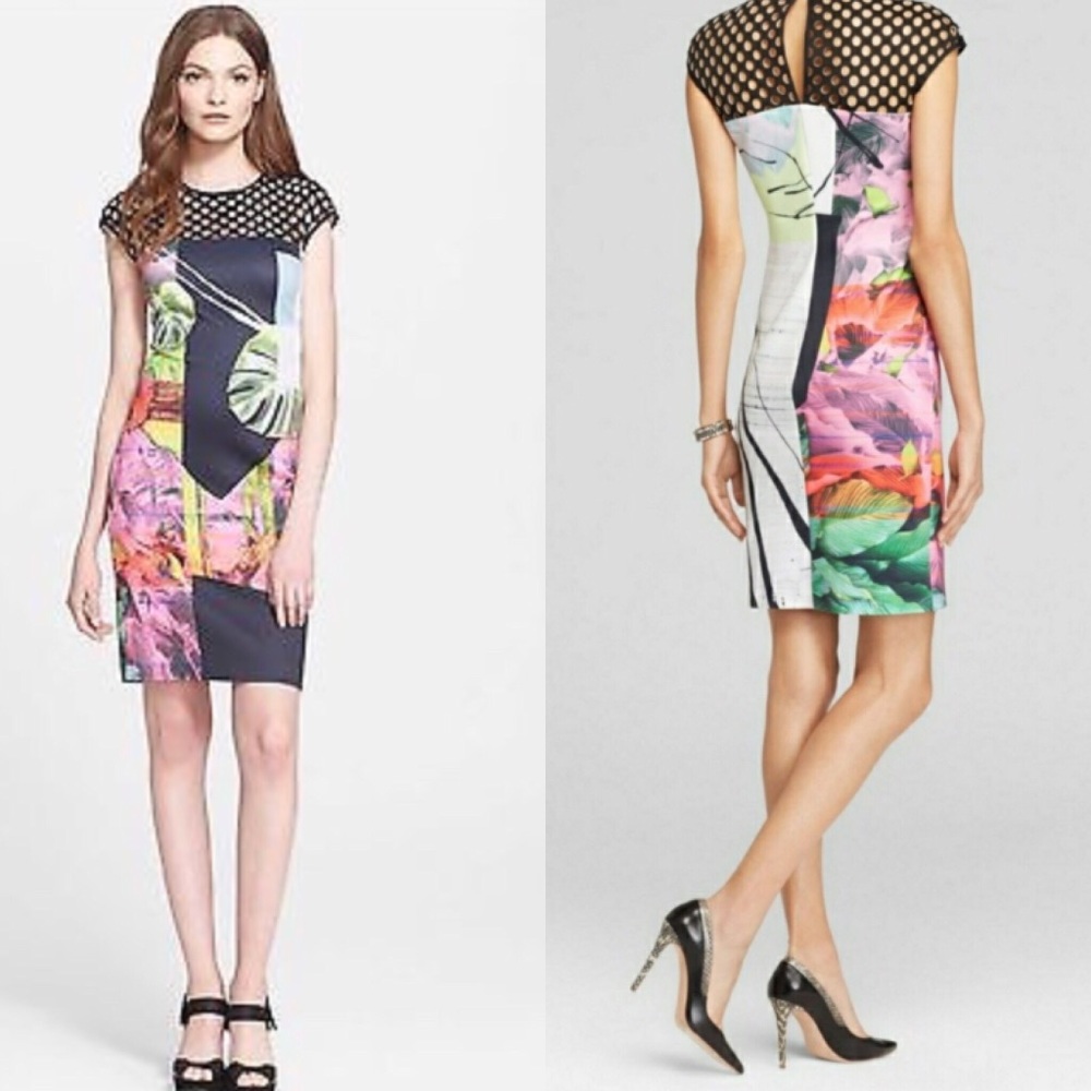 Clover Canyon painted garden yoke dress